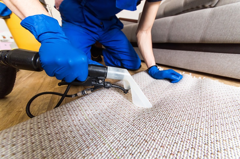 We recommend getting your carpets professionally cleaned once a year