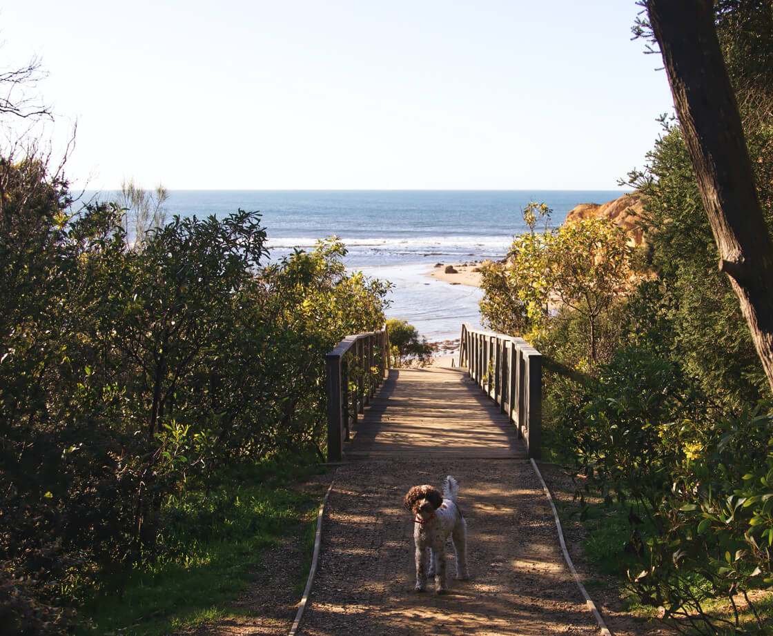 Lorne torquay