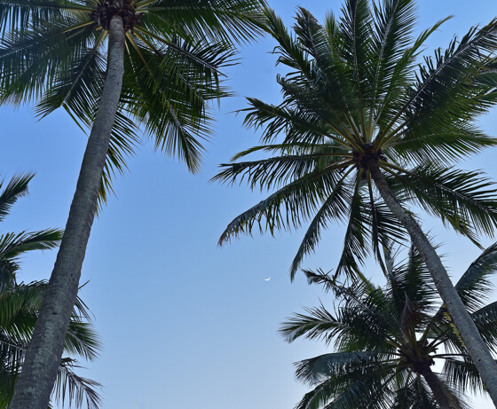 Cairns Cairns